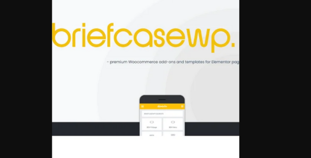 Professional Design Quality on a Budget with the Briefcase Elementor Widgets Pro