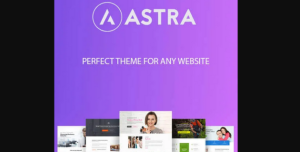 astra Pro Themes